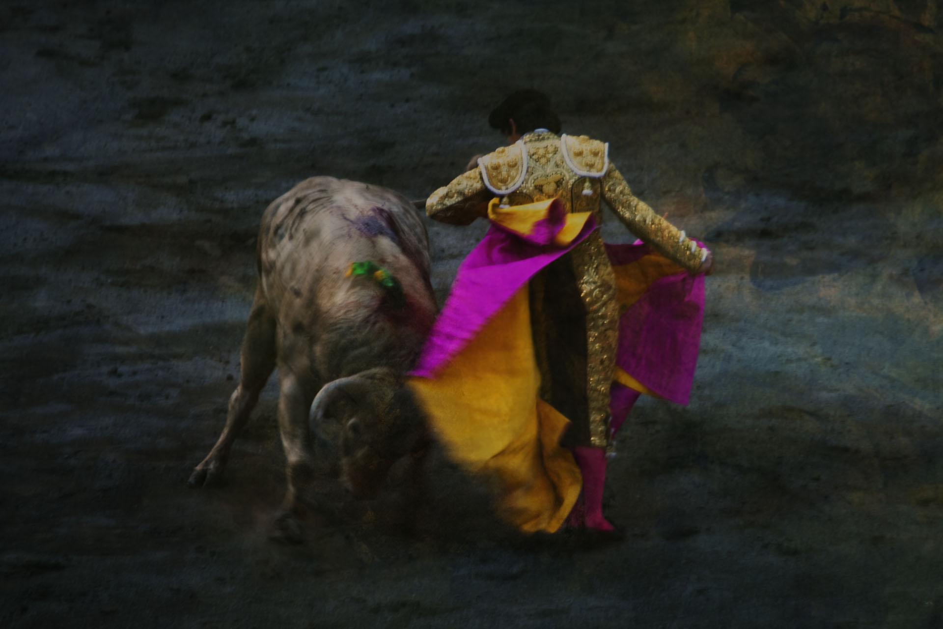 03 Whim of Color The Bullfight Pass with a cape