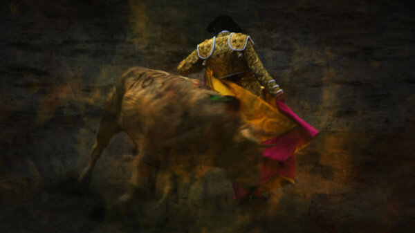 04 色の戯れ スペイン闘牛 闘牛士に操られる闘牛