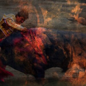 17 Whim of Color The Bullfight Bullfighter and Bull