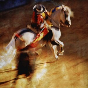 20 Whim of Color The Bullfight Horse bullfighting