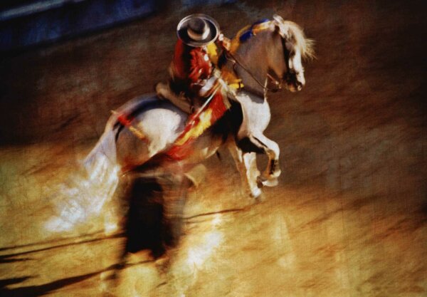 20 色の戯れ　スペイン闘牛　白馬に股がる騎馬闘牛